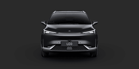 LEO 2